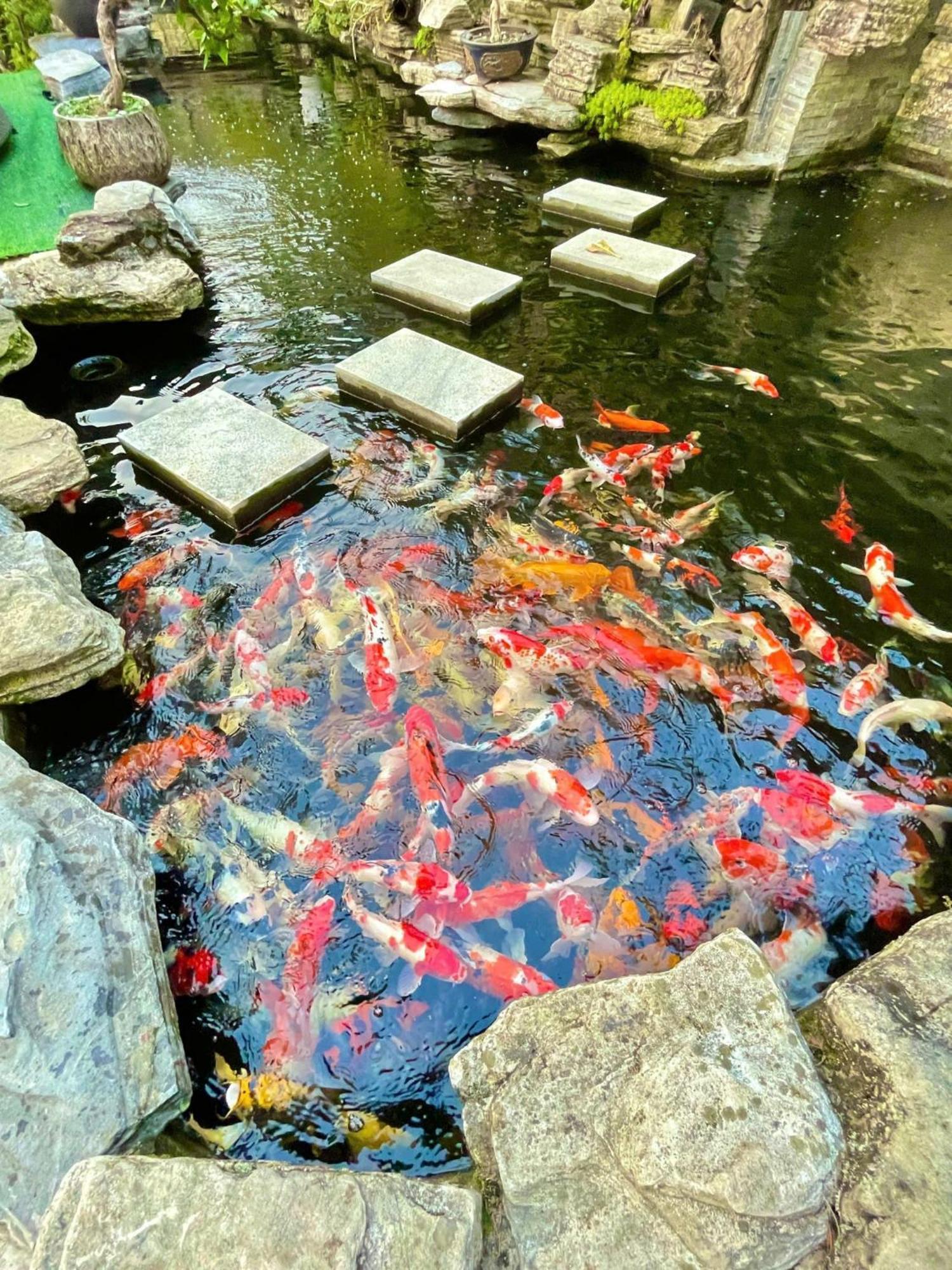 Chuon Chuon Villa Homestay Tam Ðảo المظهر الخارجي الصورة